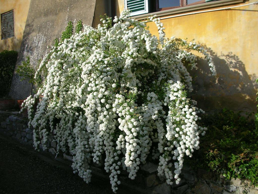 Locanda Giolica Prato  Eksteriør bilde