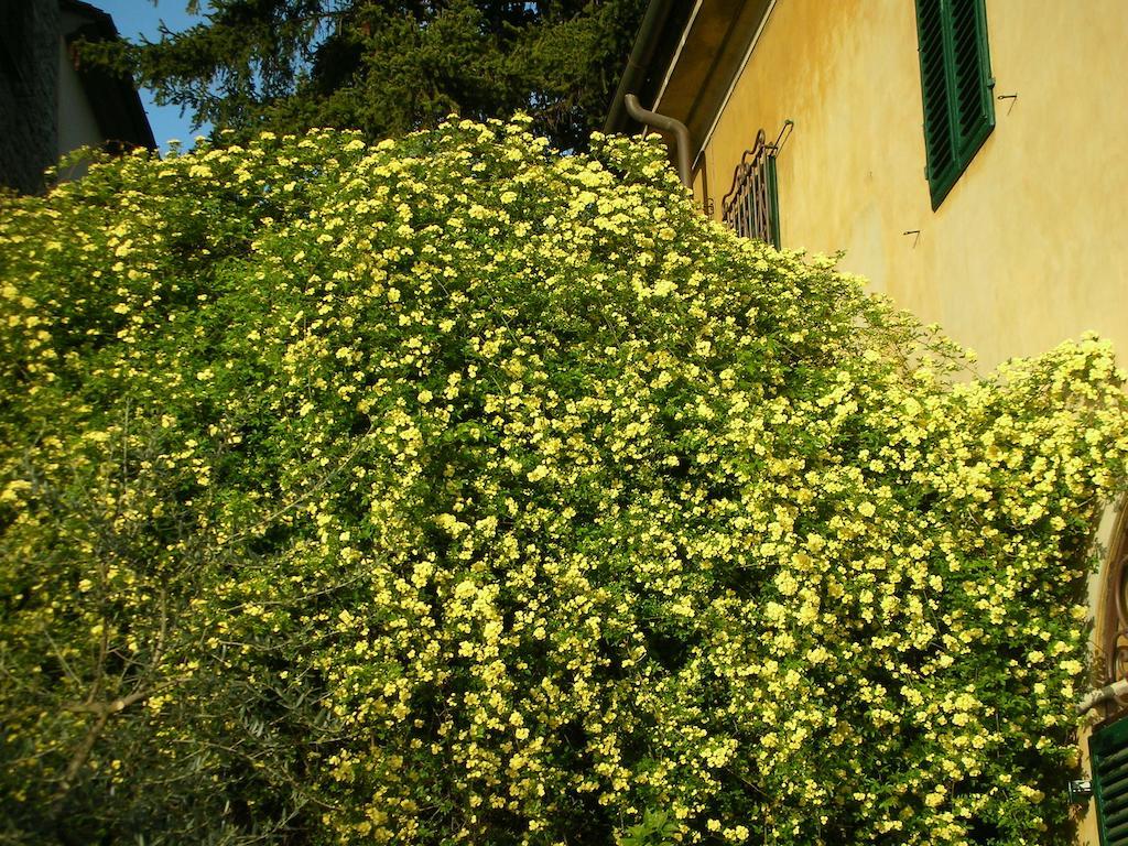 Locanda Giolica Prato  Eksteriør bilde