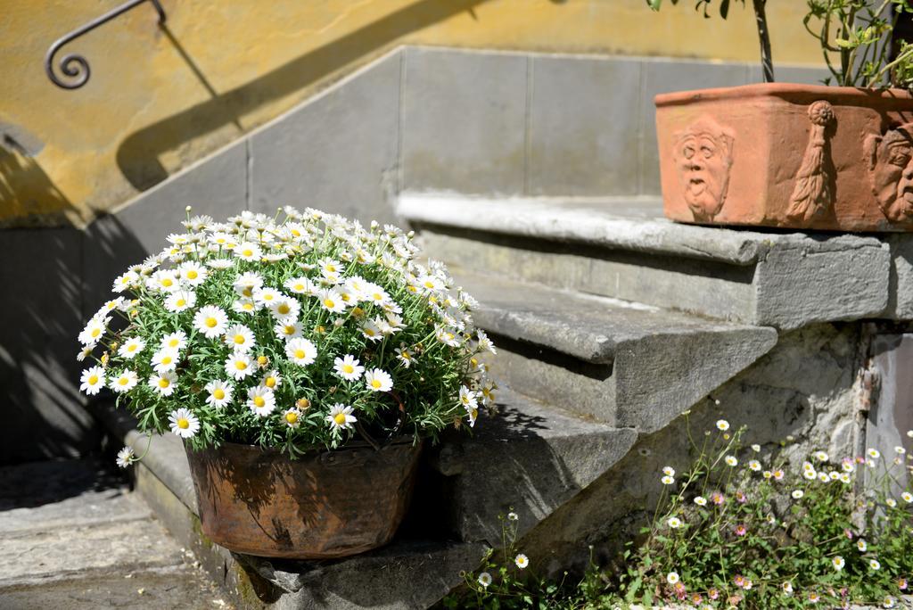 Locanda Giolica Prato  Eksteriør bilde